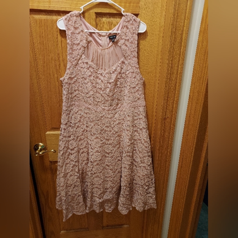 Torrid Size 18 (XXL/2X) Pink Formal Dress with Pink Lace Overlay Silver Accents